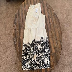 Ann Taylor Loft Summer/Spring Dres